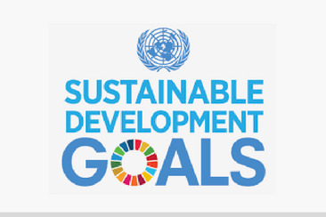 Critique of SDGs